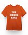 Футболка мужская The North Face 80s RAGE LETTER LOGO TEE BROWN отзывы