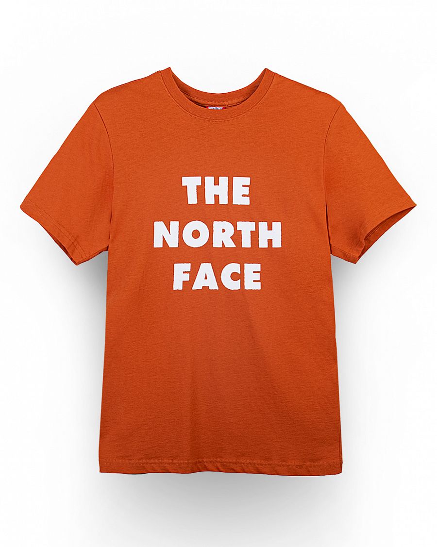 Футболка мужская The North Face 80s RAGE LETTER LOGO TEE BROWN отзывы Футболка мужская The North Face 80s RAGE LETTER LOGO TEE BROWN отзывы