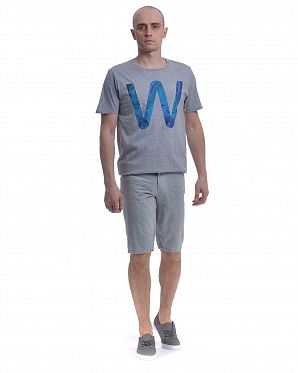 Шорты бермуды Etnies Radsome Light Grey