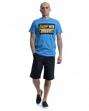 Футболка классическая мужская Carhartt Shower Multicolor