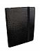 Чехол кожаный HEX iPad 2 Code Folio Black Croco отзывы