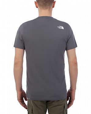 Футболка мужская The North Face New Stripe 19 Tee Grey Футболка мужская The North Face New Stripe 19 Tee Grey