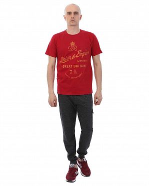 Футболка мужская Realm & Empire Great Britain 000035561 Red Футболка мужская Realm & Empire Great Britain 000035561 Red