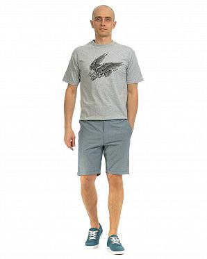 Шорты повседневные Iriedaily Golfer Chambray Grey