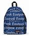 Рюкзак водоотталкивающий для 13 ноутбука Eastpak Padded Zippl'r Chatty Blue