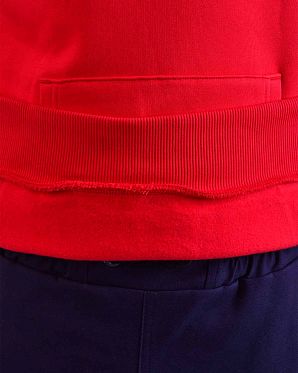 Толстовка мужская с капюшоном флисовая The North Face Raglan Red Box Red Толстовка мужская с капюшоном флисовая The North Face Raglan Red Box Red