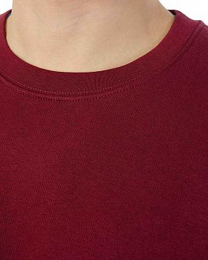 Толстовка свитшот Champion Authentic American RS509 Maroon Толстовка свитшот Champion Authentic American RS509 Maroon