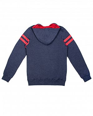 Толстовка Iriedaily Team Hoody Sky Толстовка Iriedaily Team Hoody Sky