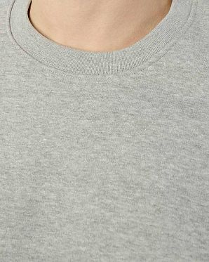 Толстовка свитшот Champion Authentic American EM006 Grey Толстовка свитшот Champion Authentic American EM006 Grey