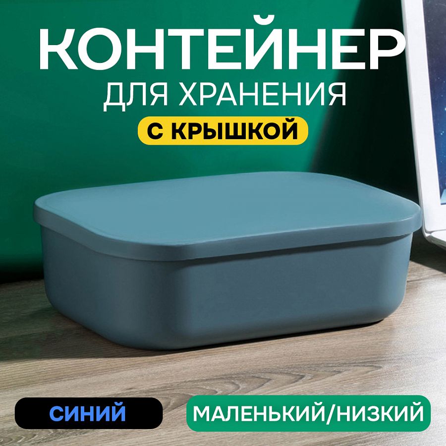 Контейнер АЛИ ЧАЙНА с крышкой SH179, 14 L, Малый Низкий Синий отзывы