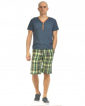 Шорты бермуды Etnies Parker Chino Short Green