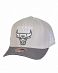 Бейсболка с изогнутым козырьком Mitchell and Ness ACTIVE GREY Chicago Bulls Grey