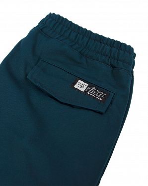 Джоггеры мужские зимние карго Cool Penguin JMD 1713W Deep Sea