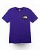 Футболка мужская The North Face Fine Front Box Cobalt