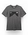 Футболка мужская The North Face NUPSTE CEL Grey отзывы