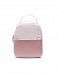 Рюкзак небольшой Премиум нейлон кожа Herschel Orion Mini Rosewater Pastel отзывы