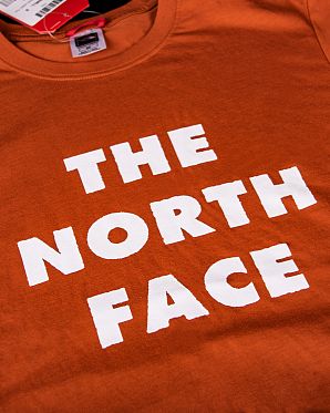 Футболка мужская The North Face 80s RAGE LETTER LOGO TEE BROWN Футболка мужская The North Face 80s RAGE LETTER LOGO TEE BROWN