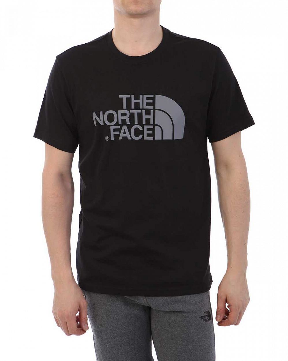 Футболка светоотражающая The North Face 000035536 Silver Black отзывы