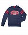 Толстовка Iriedaily Team Hoody Sky отзывы