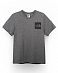 Футболка мужская The North Face Fine Front Box Grey отзывы