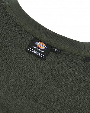 Толстовка Dickies Mount Vista Sweatshirt Olive Толстовка Dickies Mount Vista Sweatshirt Olive